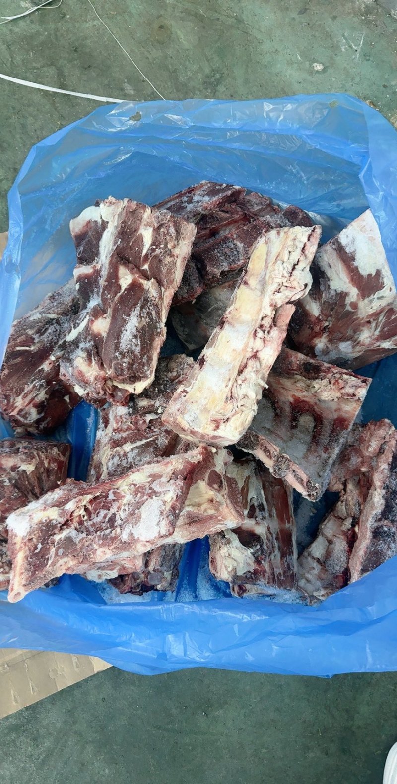 纯干满肉牛脊骨纯干纯水退水煮，质量保证，每天有货