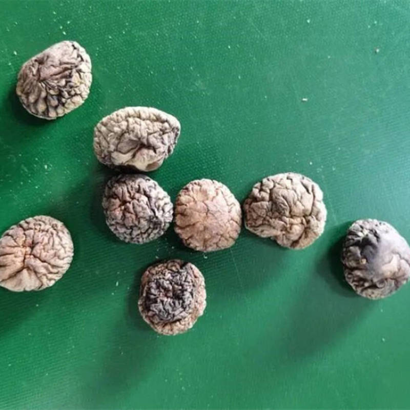好货样品优质面菇手选干香菇小香菇干干香菇香菇干