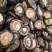 好货样品优质面菇手选干香菇小香菇干干香菇香菇干