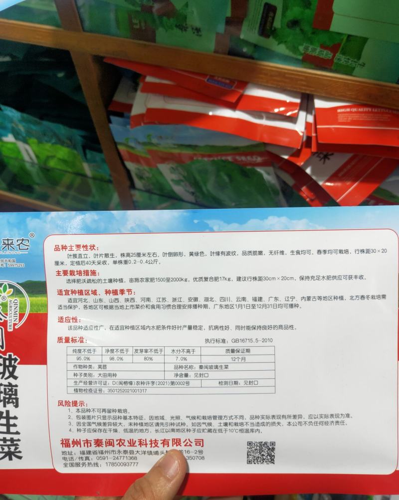 玻璃生菜种子品质脆嫩适应性广南北方均可种植阳台庭院盆栽