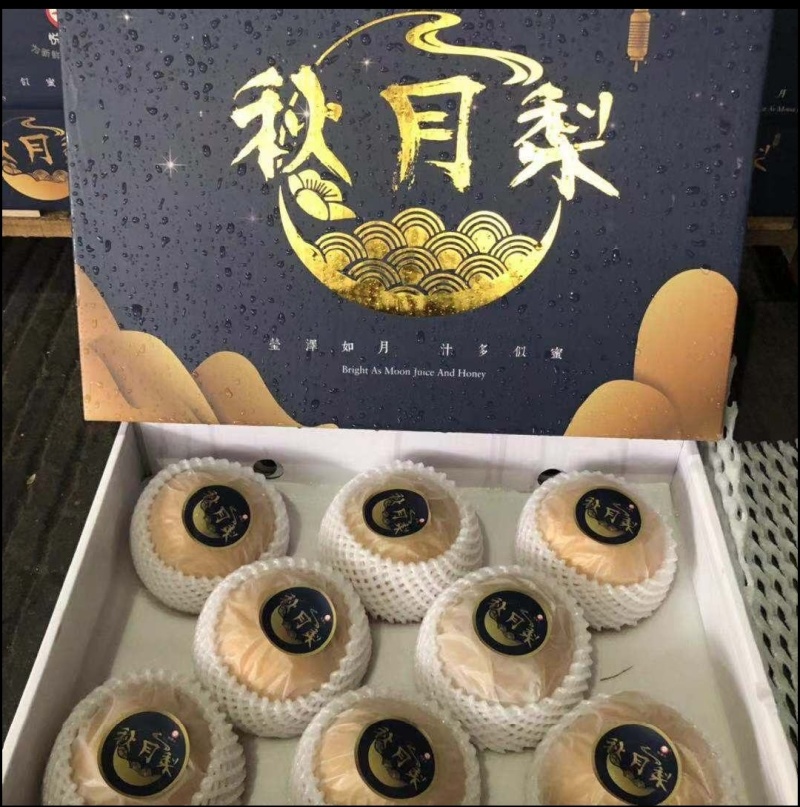 山东莱阳秋月梨现货