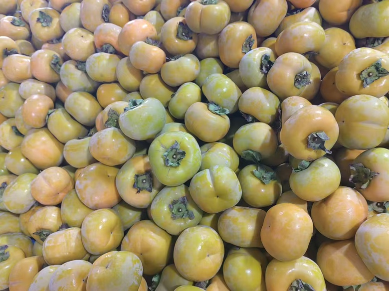 新鲜脆柿切片特写