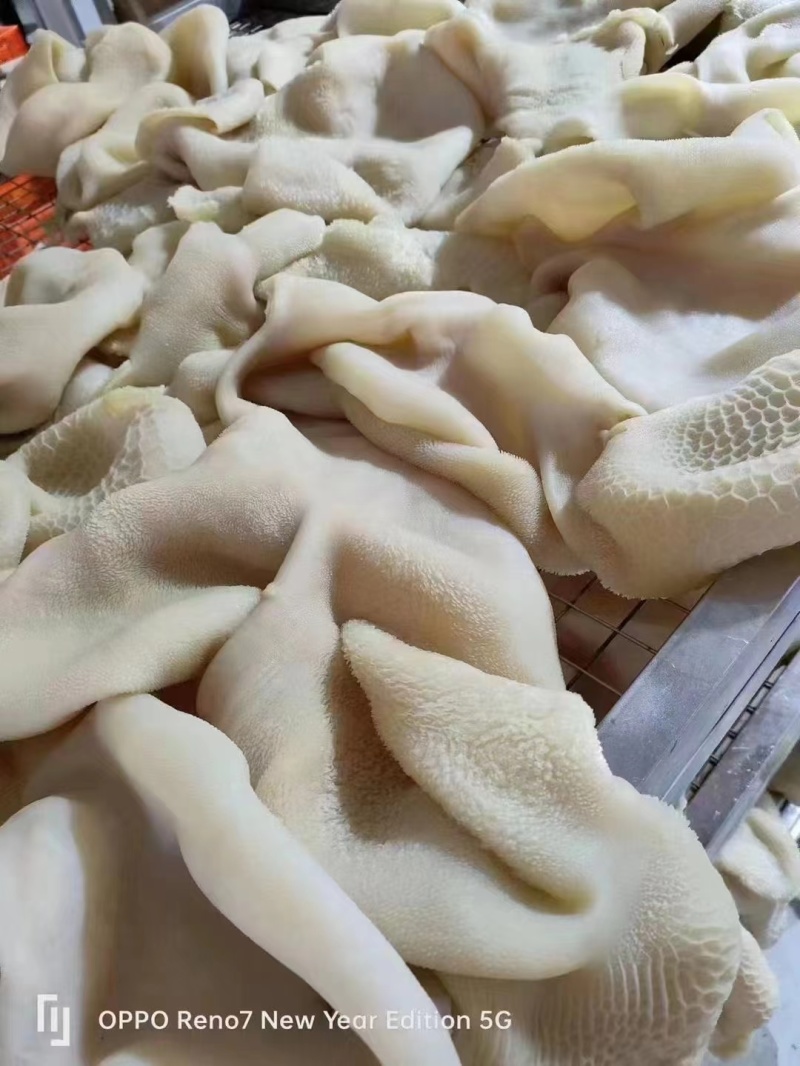 【熟羊杂】熟羊肚