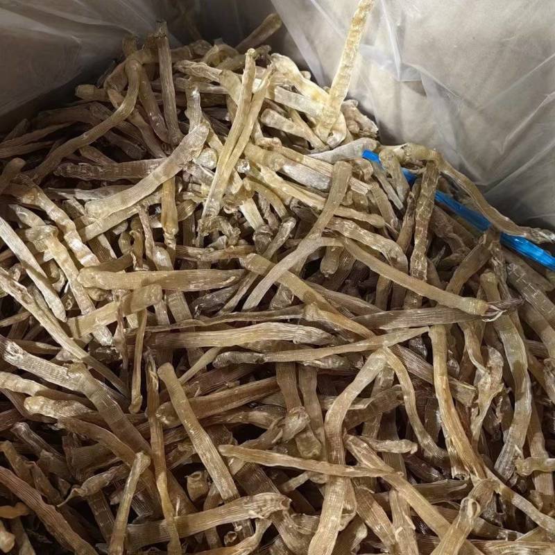 足干无沙黑虫一手货源批发