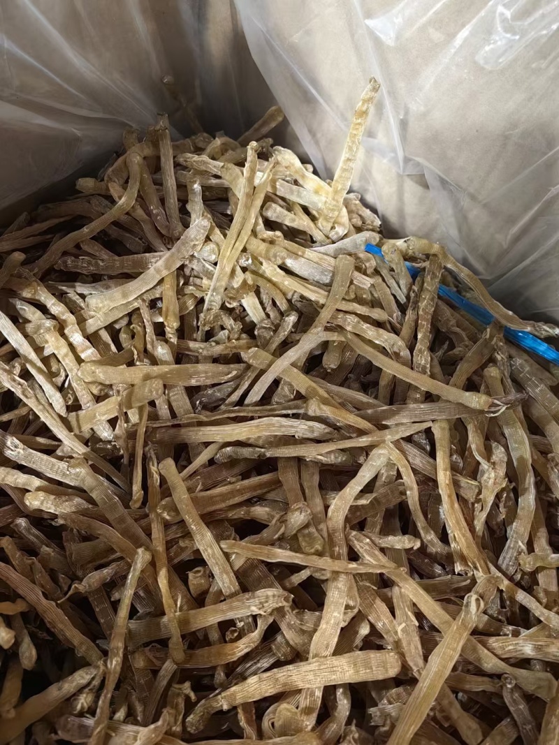 足干无沙黑虫一手货源批发