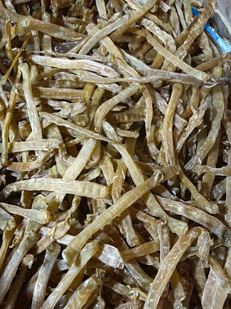 足干无沙黑虫一手货源批发
