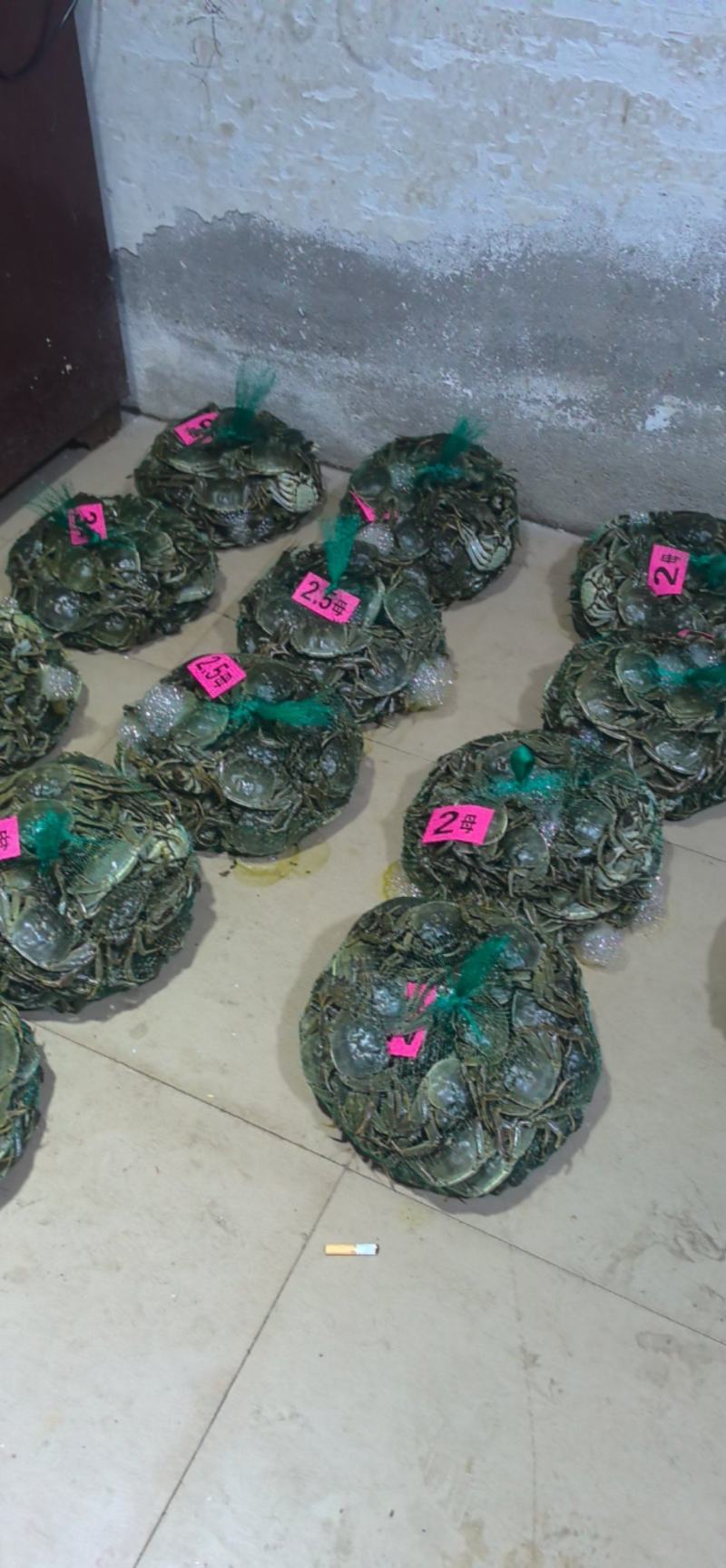 湖北洪湖大闸蟹量大优质可保规格全母蟹2母-4母