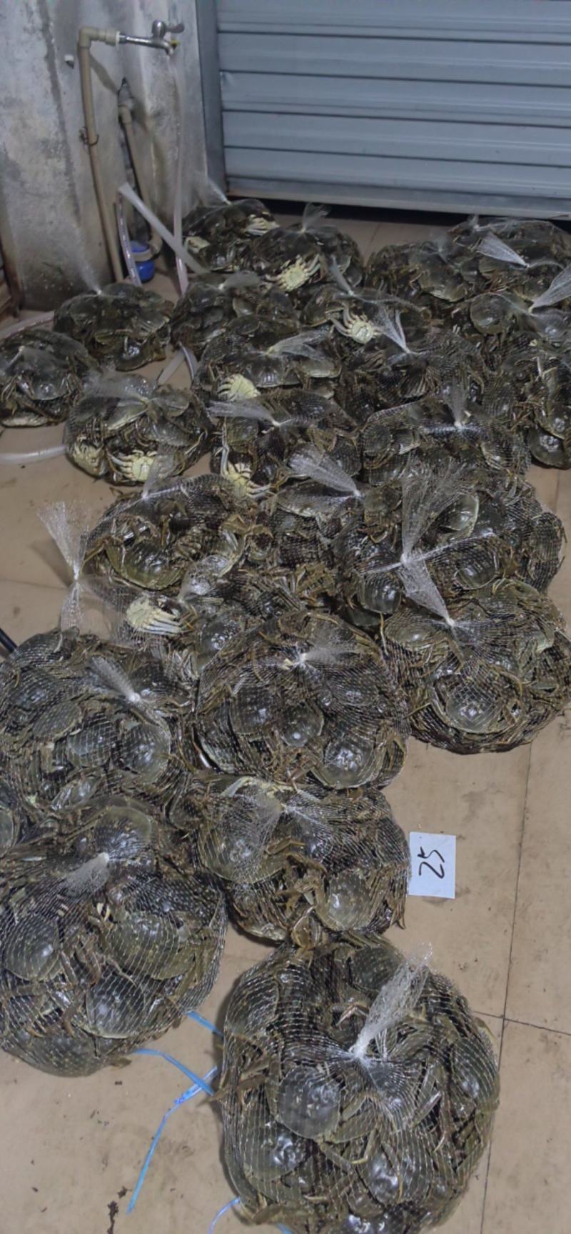 湖北洪湖大闸蟹公母链接塘口直批货量有保证价格优