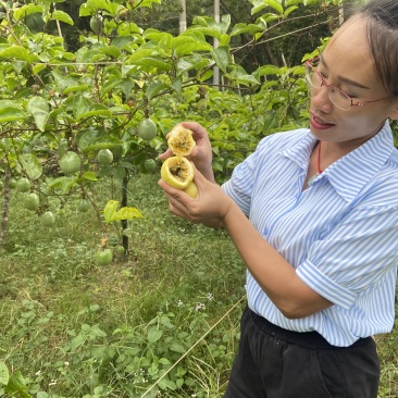 黄金白香果