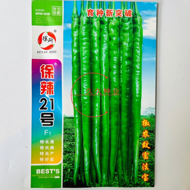 徐研21号线椒种子长辣椒种籽抗病高产农家大棚春秋四季辣椒