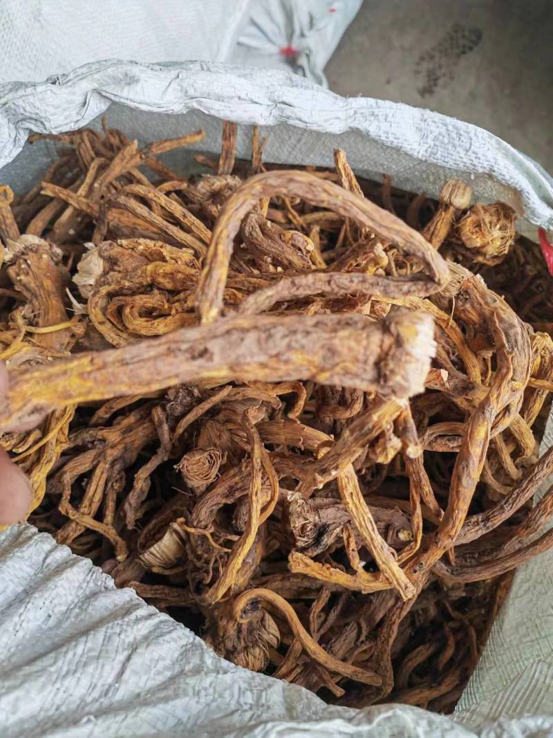 云南中药材云木香，秦艽（可视频看货）对接全国电商市场批发商