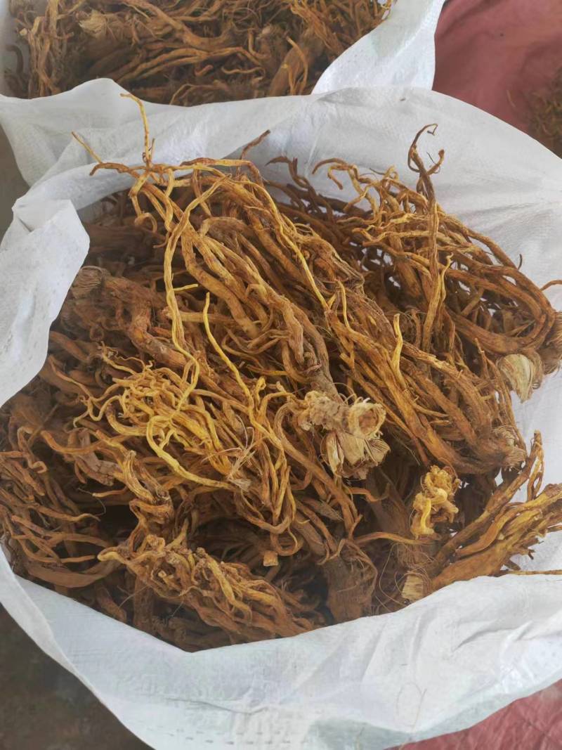 云木香基地直供，规格齐全，可视频看货，欢迎来电洽谈更优惠