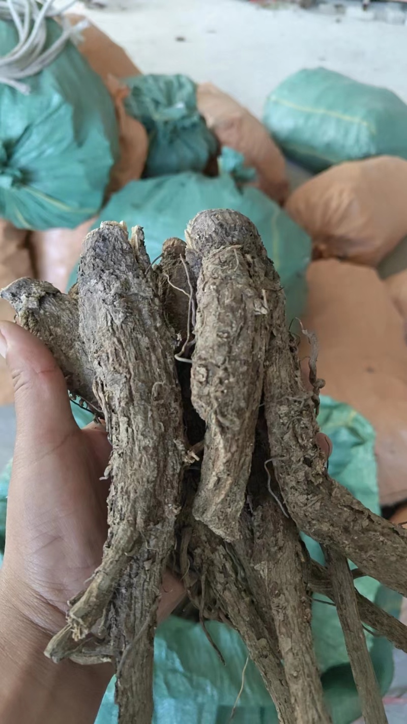 云木香基地直供，规格齐全，可视频看货，欢迎来电洽谈更优惠