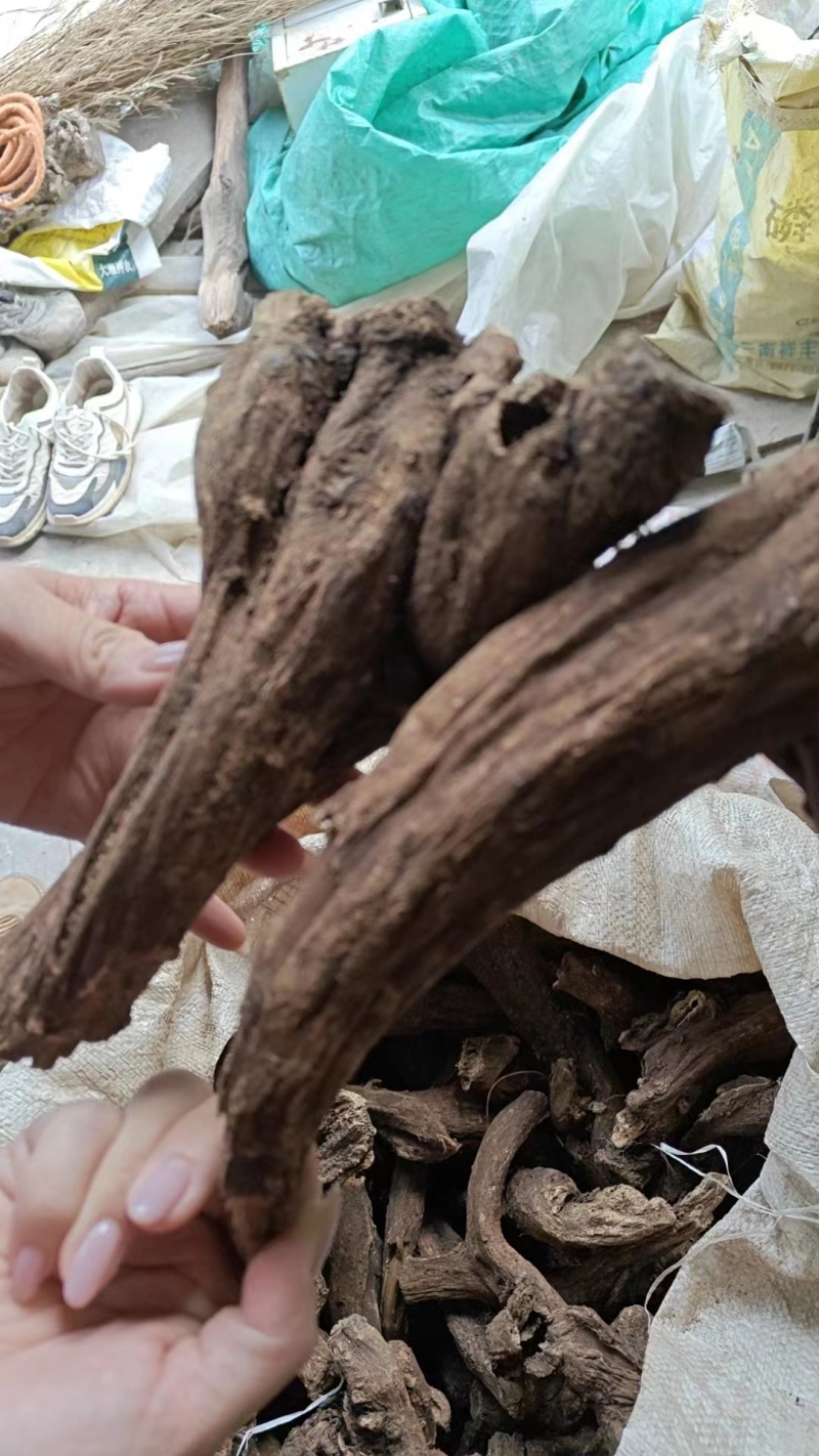 云木香基地直供，规格齐全，可视频看货，欢迎来电洽谈更优惠