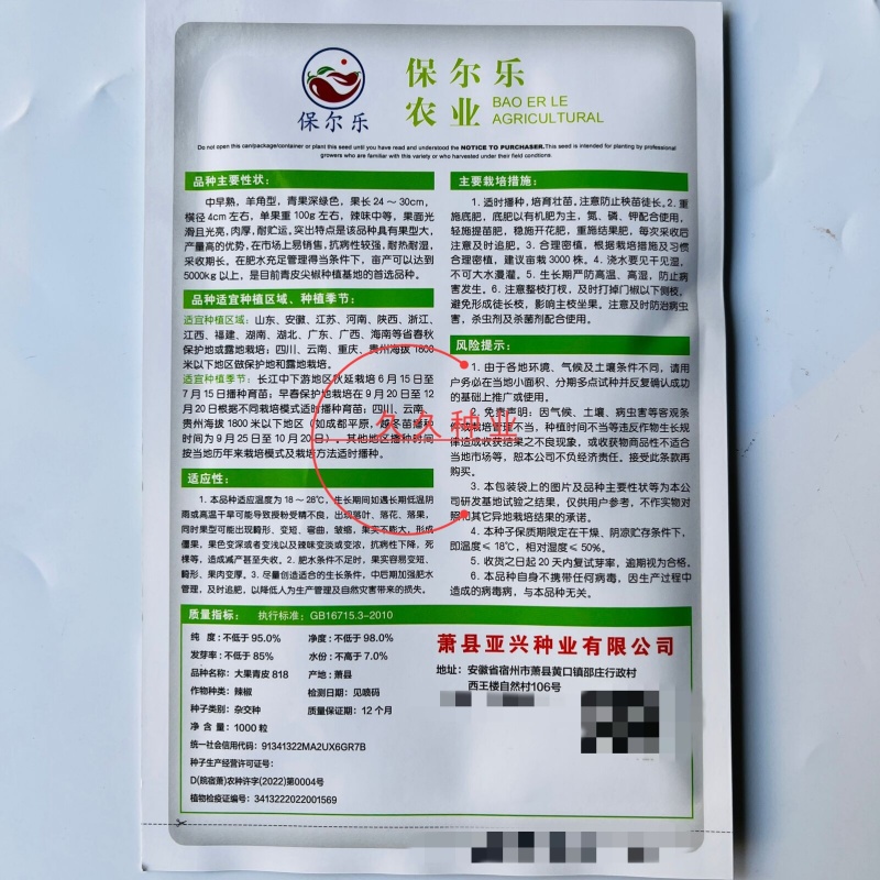 大果青皮818羊角椒种子牛角青椒尖椒辣椒种籽中辣春季