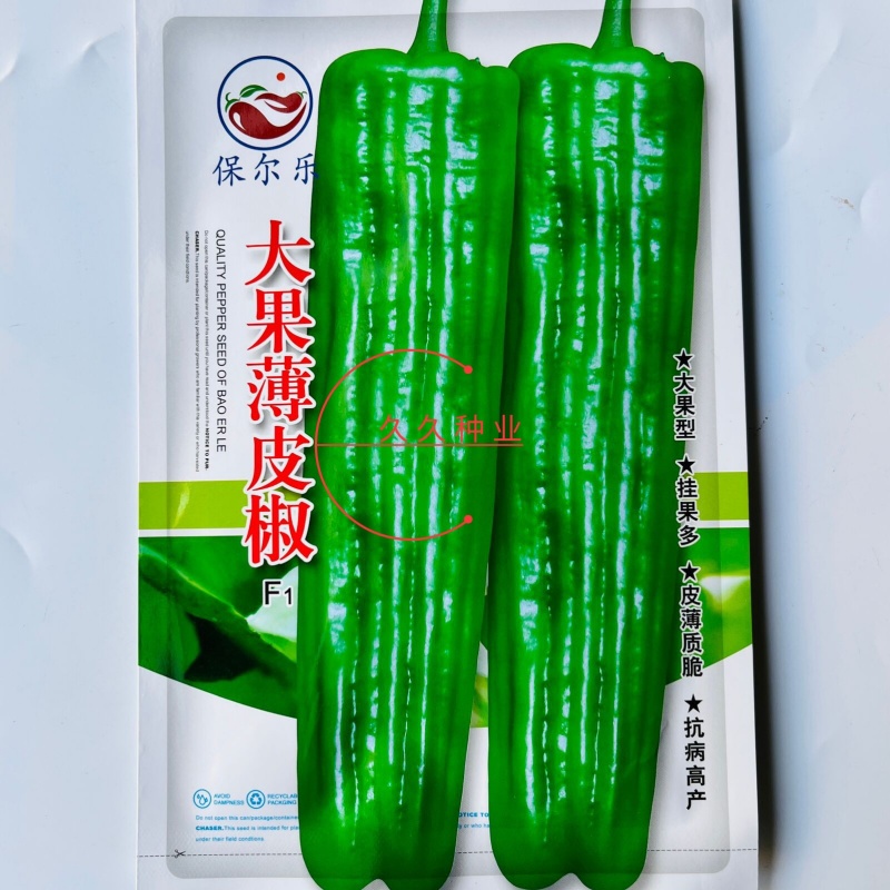 大果薄皮椒种子大果高产春秋播种微辣薄皮抗病大椒蔬菜种子