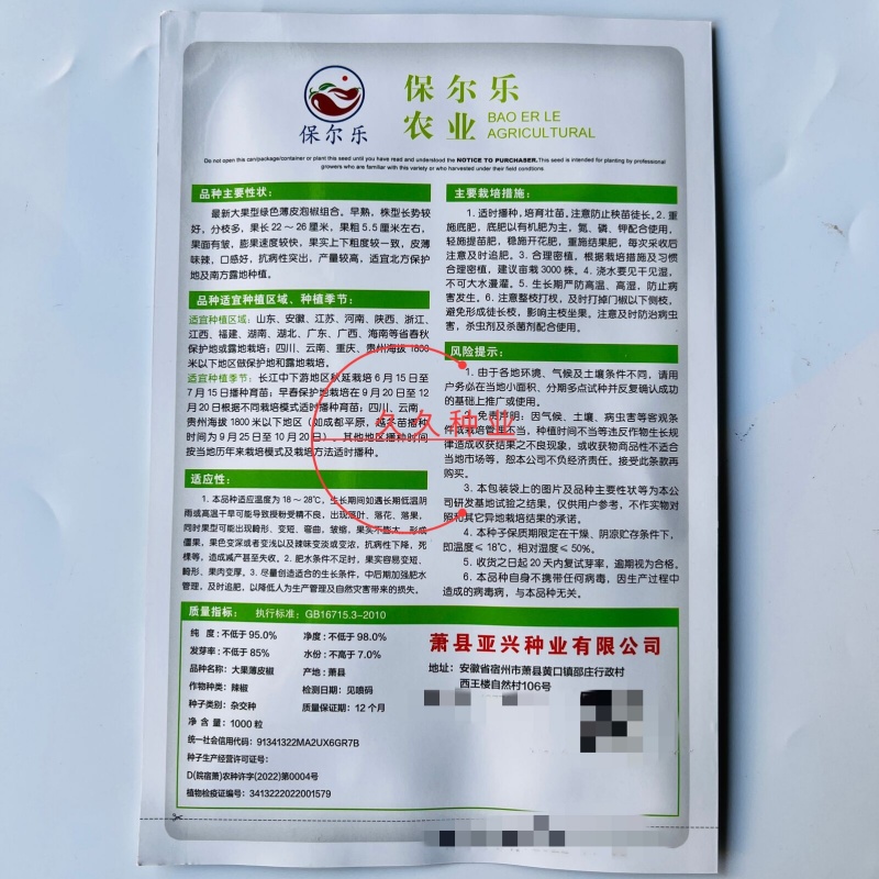 大果薄皮椒种子大果高产春秋播种微辣薄皮抗病大椒蔬菜种子