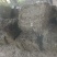蓝布正