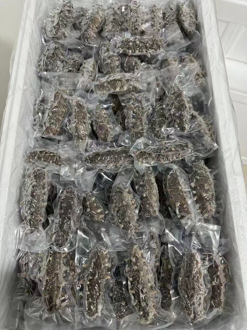 国标高压鲜食鲜蒸海参开袋即食送礼自用海水产店商超酒店