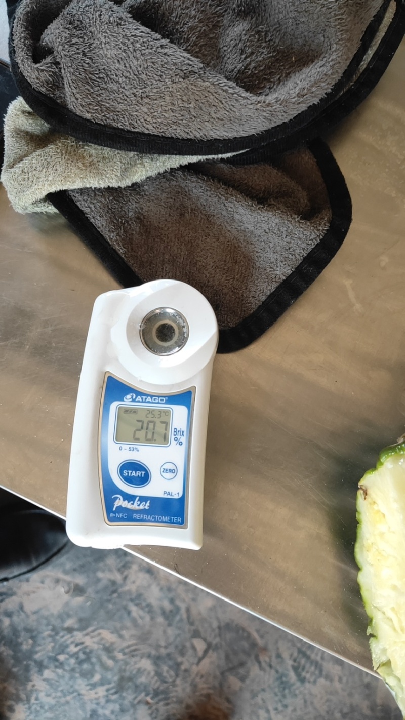 菠萝云南甜蜜蜜凤梨产地直发对接市场电商商超