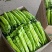 广西北海精品尖椒【牛角椒】大量供应新鲜上市，欢迎来电