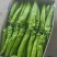 广西北海精品尖椒【牛角椒】大量供应新鲜上市，欢迎来电