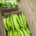 广西北海精品尖椒【牛角椒】大量供应新鲜上市，欢迎来电