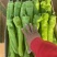 广西北海精品尖椒【牛角椒】大量供应新鲜上市，欢迎来电