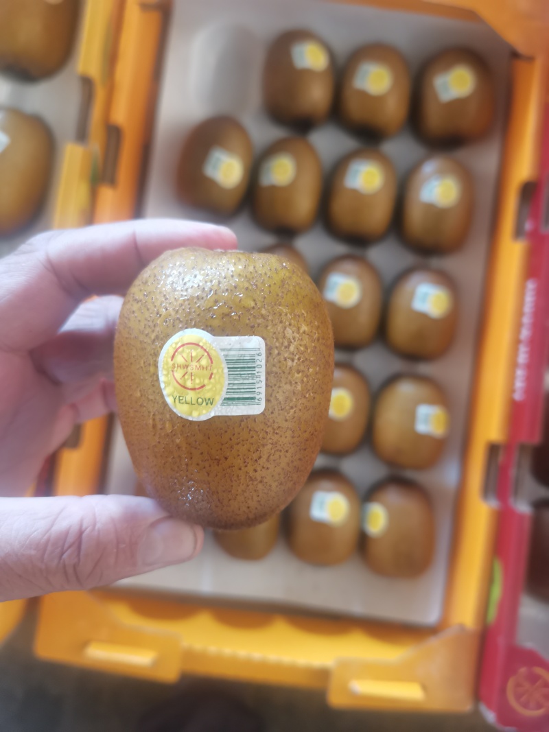 四川黄心猕猴桃，量大从优
