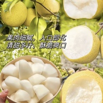 辽宁白梨白梨口感脆甜多汁一手货源可视频看货欢迎下单