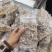 扇贝边，净边，凉拌，辣炒，扇贝裙边500g干贝边干贝丝