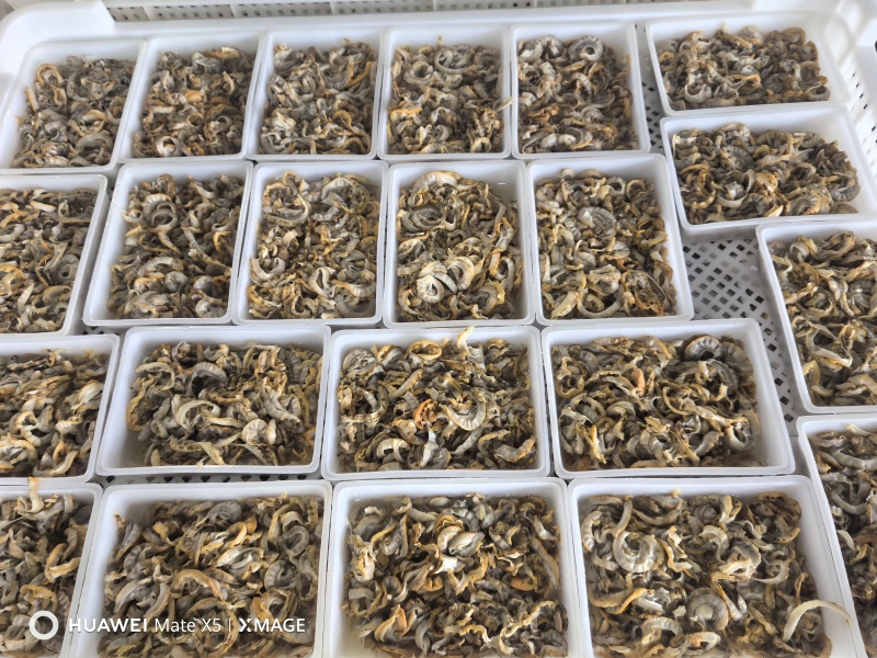 扇贝边，净边，凉拌，辣炒，扇贝裙边500g干贝边干贝丝