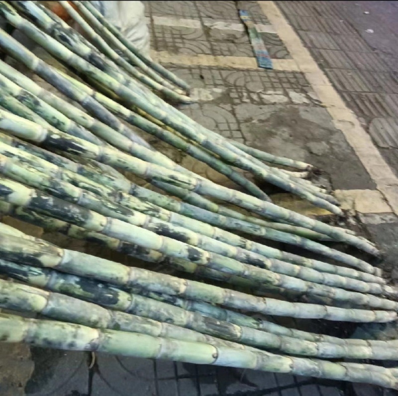 今天新货上市大量发货，，，，
