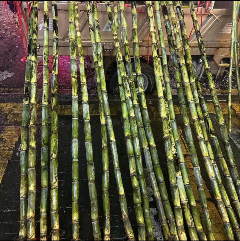 今天新货上市大量发货，，，，