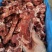 多肉牛脖骨牛排锅炖起来