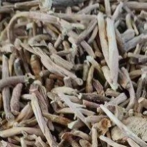知母腿知母投料知母片山知母兽药厂货药厂货饮