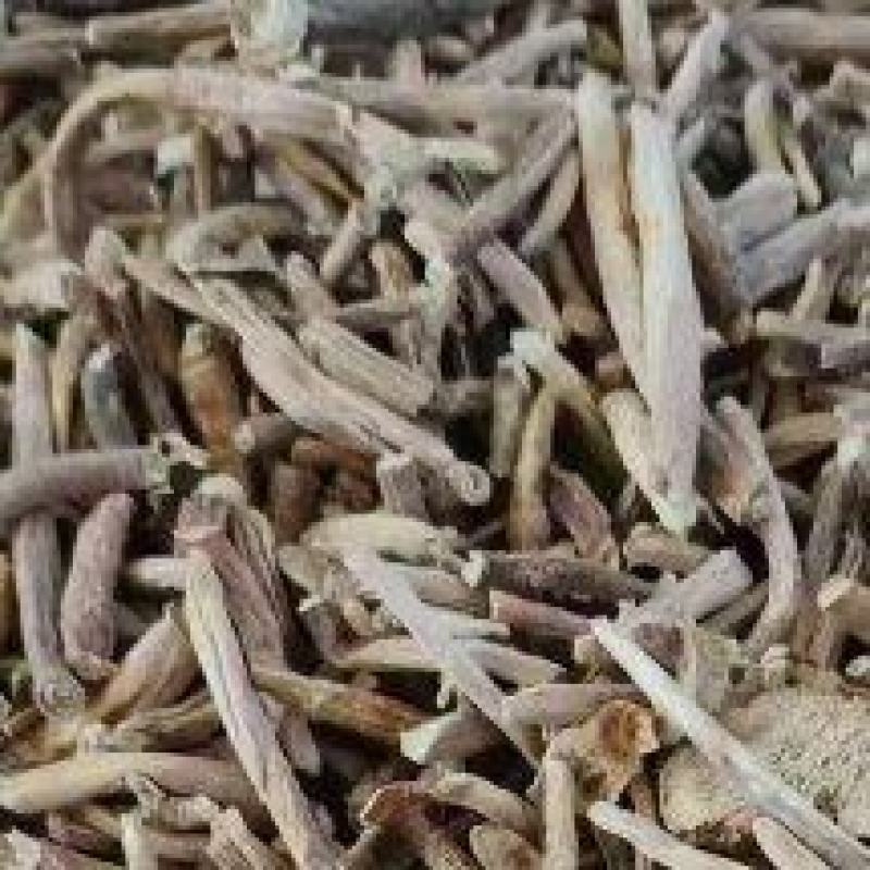知母腿知母投料知母片山知母兽药厂货药厂货饮