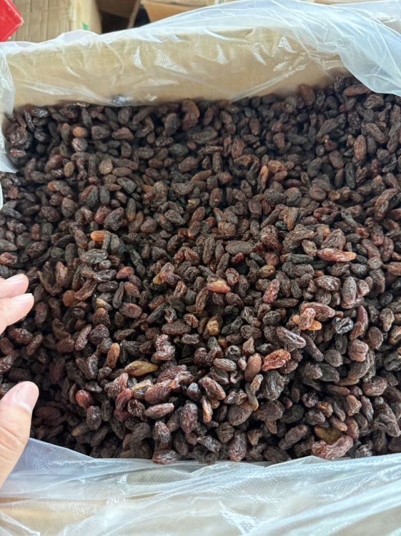 新疆精品红提干葡萄干大量供应品质保证量大从优