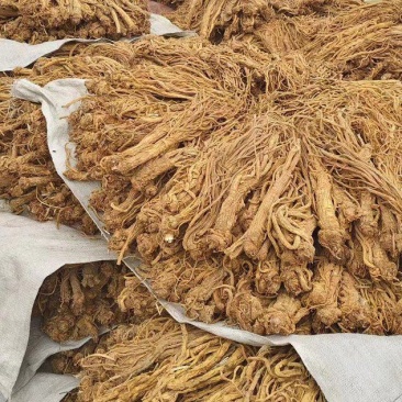 精品独活，保质保量产地直发，量大从优，欢迎选购