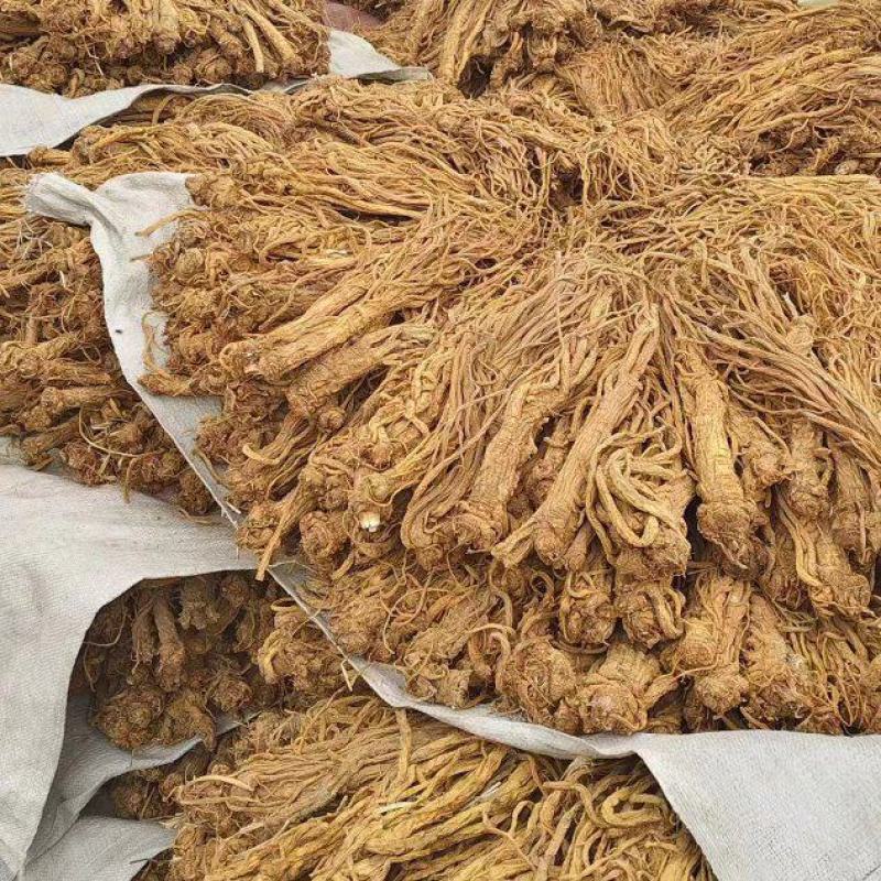 精品独活，保质保量产地直发，量大从优，欢迎选购