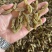 精品绿香妃葡萄干大量上市品质保证量大从优一手货源