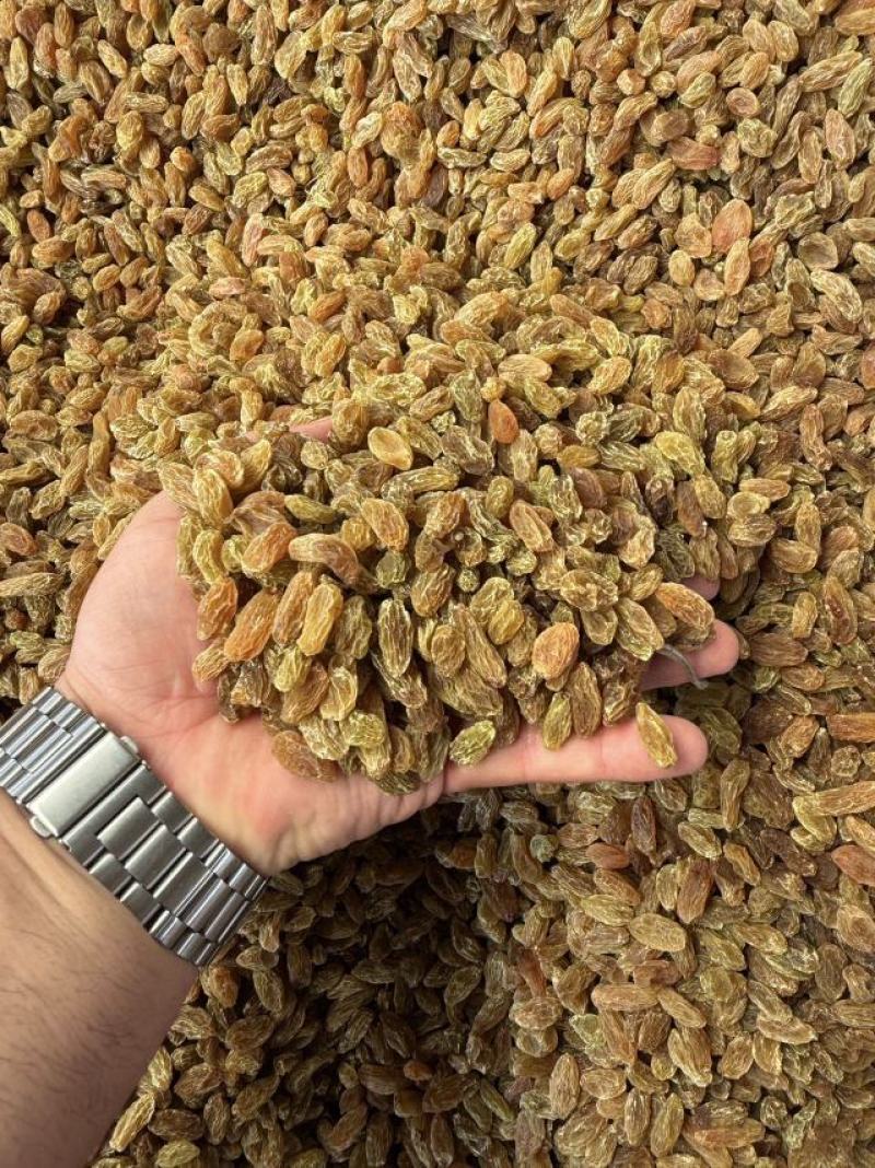 精品麻子葡萄干大量上市品质保证量大从优一手货源