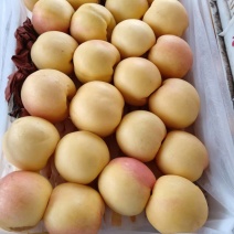 黄油桃