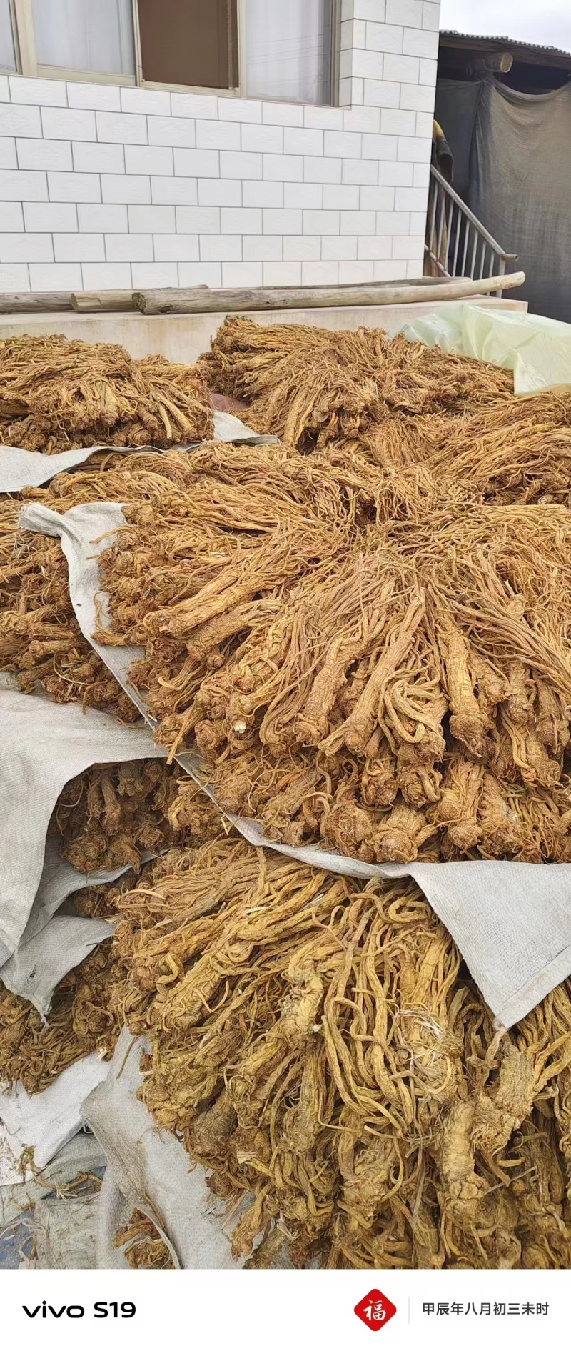 精品独活，保质保量产地直发，量大从优，欢迎选购