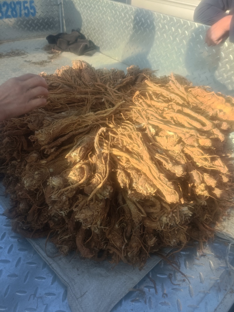精品独活，保质保量产地直发，量大从优，欢迎选购
