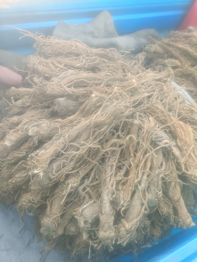 精品独活，保质保量产地直发，量大从优，欢迎选购