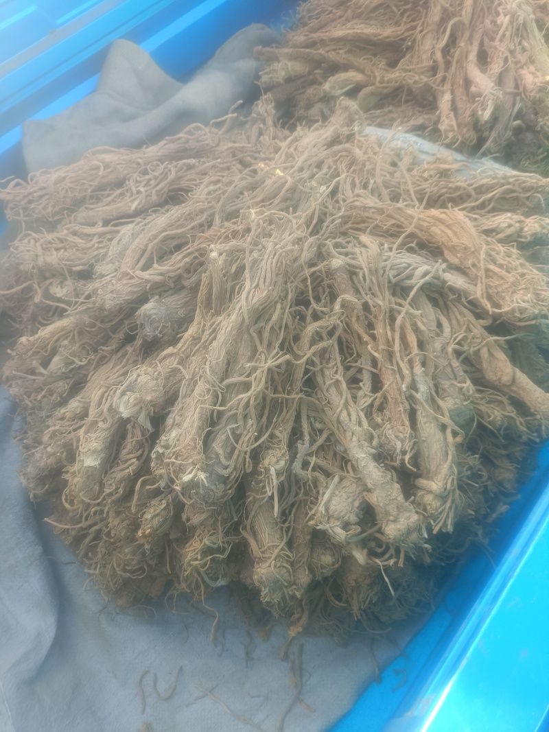 精品独活，保质保量产地直发，量大从优，欢迎选购