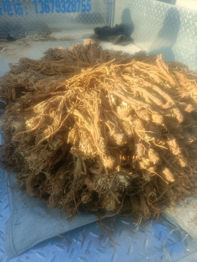 精品独活，保质保量产地直发，量大从优，欢迎选购