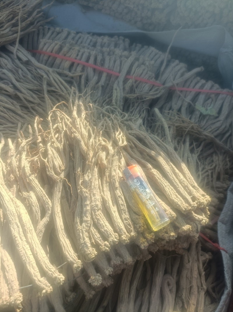 甘肃道地药材精品无硫党参