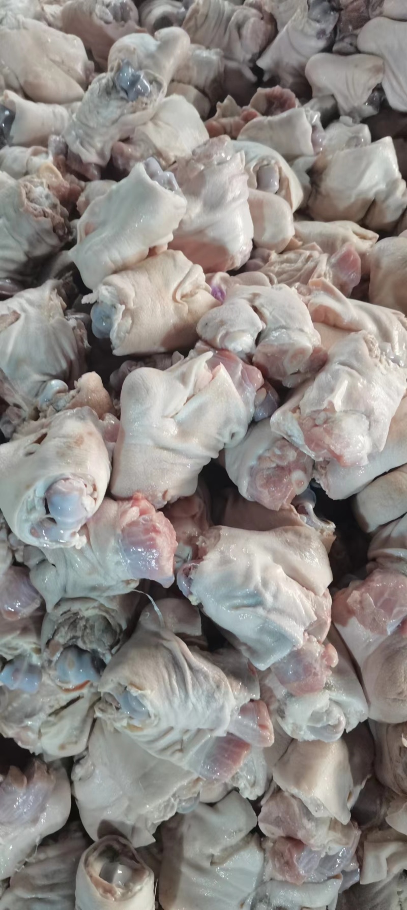 猪脚圈10kg32个左右